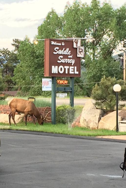 Saddle & Surrey Motel エステス・パーク エクステリア 写真